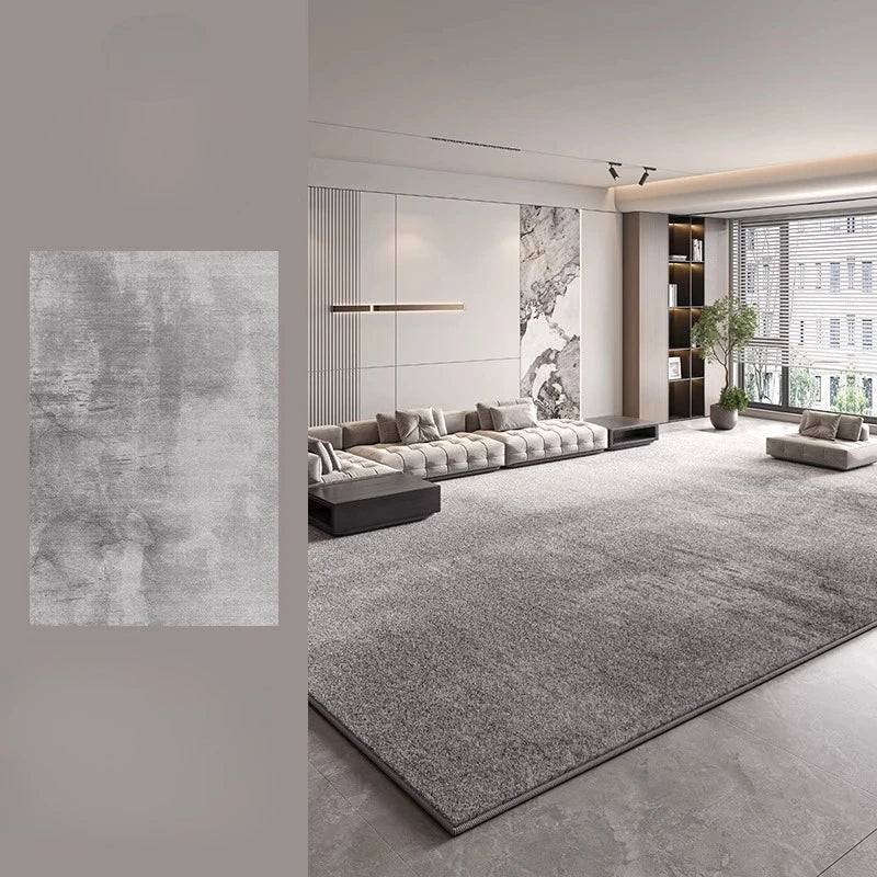 Modern Style Bedroom Decor Plush Carpet Large Area Carpets for Living Room Thick Washable Lounge Floor Mat Fluffy Soft Study Rug