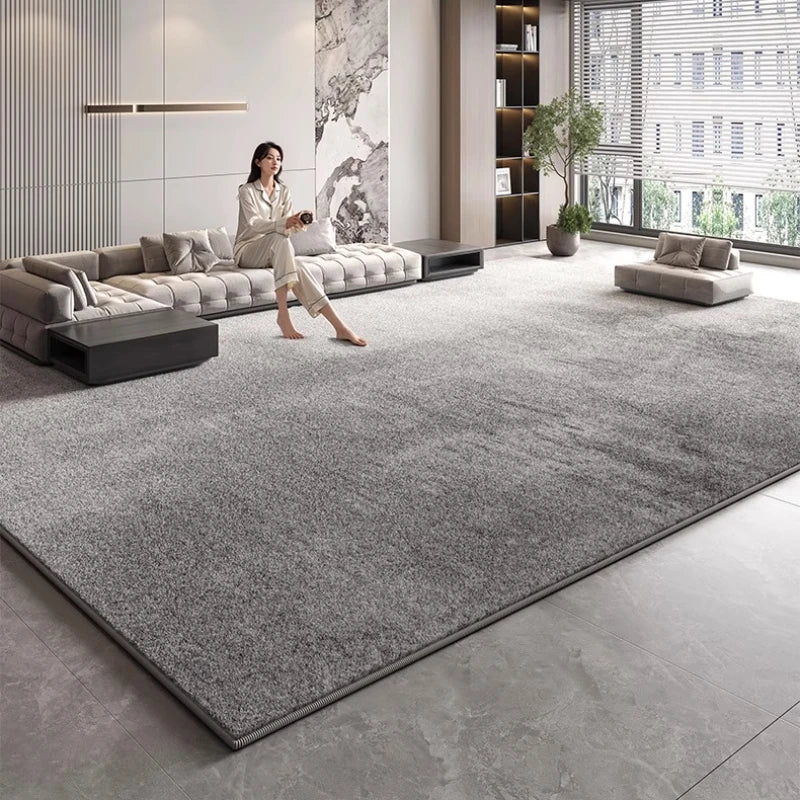 Modern Style Bedroom Decor Plush Carpet Large Area Carpets for Living Room Thick Washable Lounge Floor Mat Fluffy Soft Study Rug