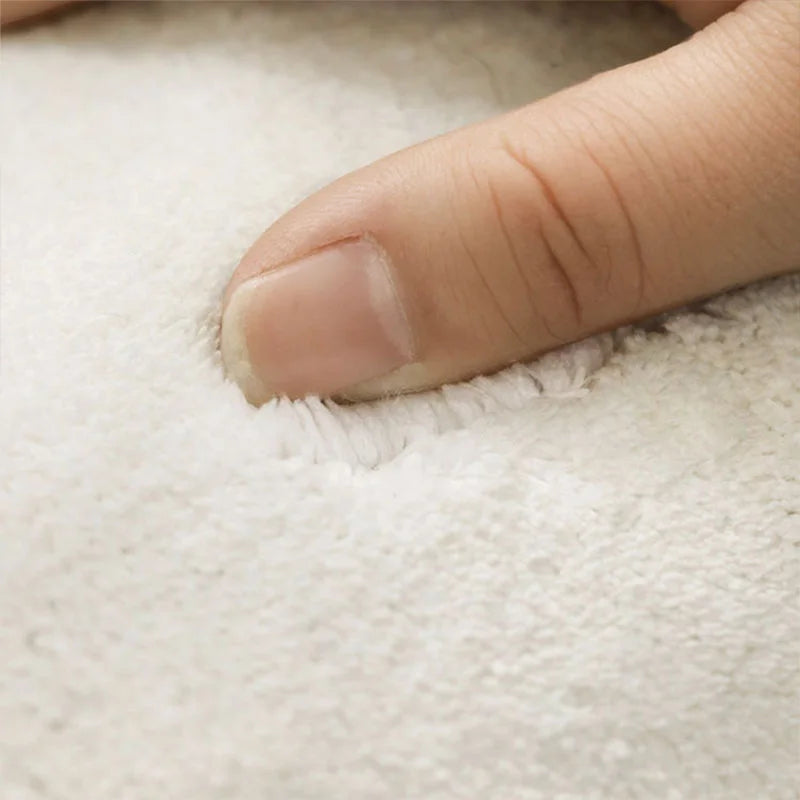 Irregular Shapes Rugs for Bedroom Light Luxury Living Room Decoration Carpet Thick Anti-slip Lounge Mat Fluffy Plush Bedside Rug